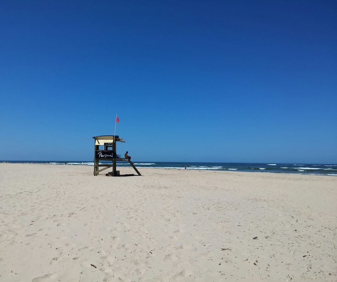 Skyline of Punta del Este with beach and towers